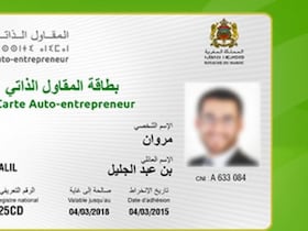 Le régime de l'auto-entrepreneur compte 376 031 inscrits, à fin 2021.
