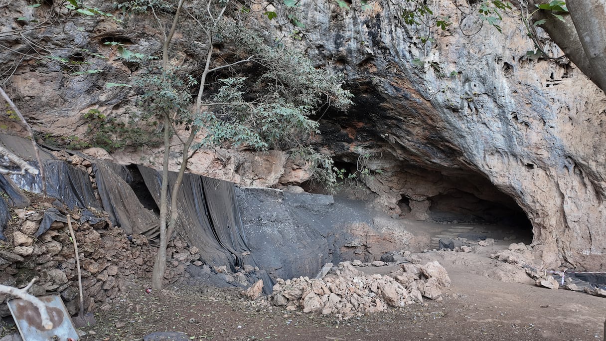 مغارة الحمام بتافوغالت.. اكتشفوا أقدم استخدام طبي للنباتات يعود لـ15 ألف سنة