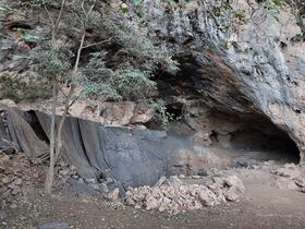 مغارة الحمام بتافوغالت.. اكتشفوا أقدم استخدام طبي للنباتات يعود لـ15 ألف سنة