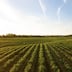 Agriculture: des coûts de production exorbitants découragent les agriculteurs d’entamer les labours