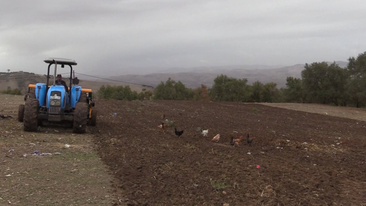 أجواء انطلاق موسم الحرث وزرع البذور بجهة فاس مكناس