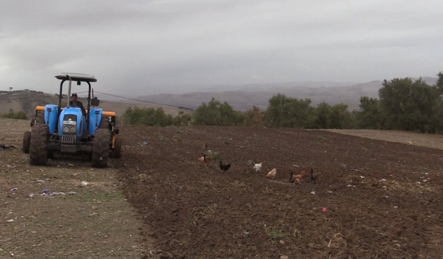 أجواء انطلاق موسم الحرث وزرع البذور بجهة فاس مكناس