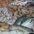 La vente directe de poisson congelé bouscule la chaîne des intermédiaires