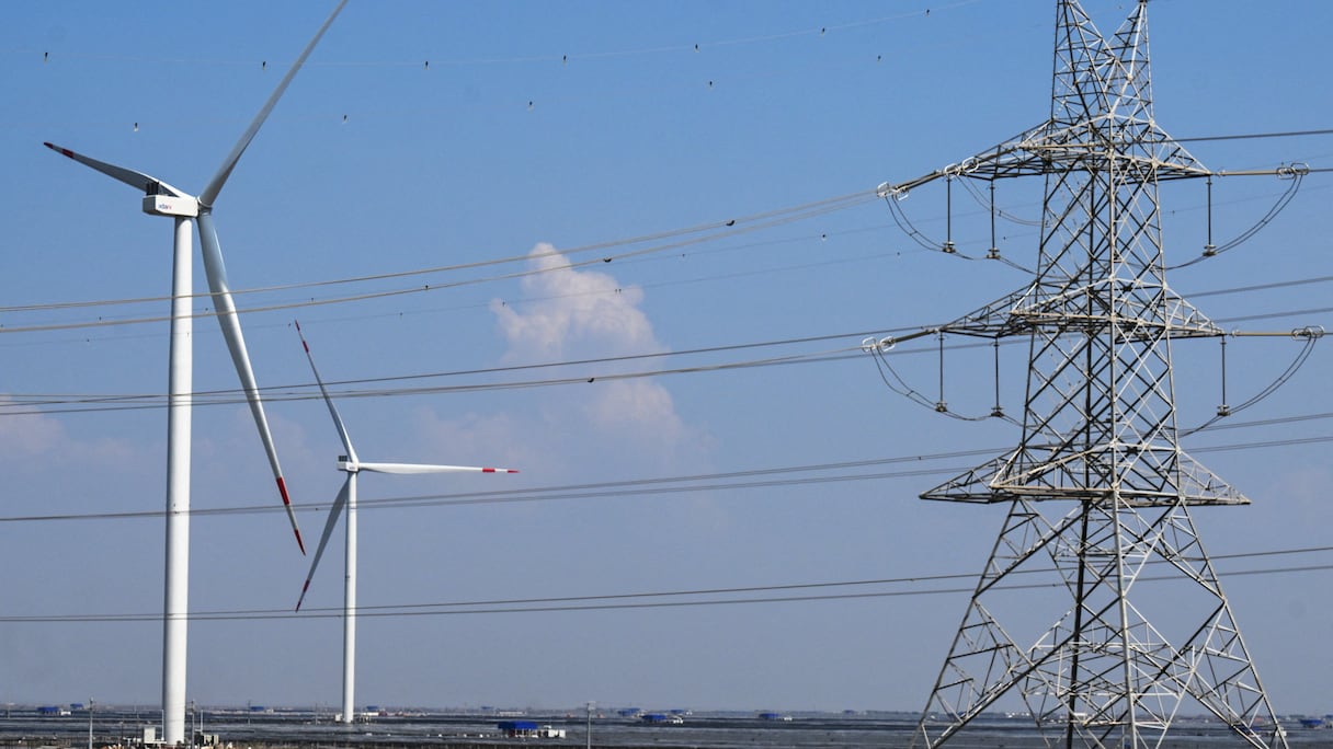An electricity transmission tower and wind turbines are pictured at the Adani Green Renewable Energy Plant in Khavda, in India's Gujarat stUne tour de transmission d'électricité et des éoliennes sont photographiées à la centrale d'énergie renouvelable Adani Green en Inde, le 15 octobre 2024