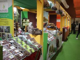 الملتقى الدولي للتمر بأرفود