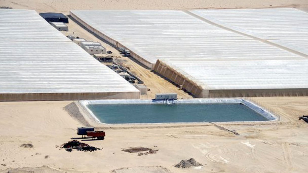 Projet d'irrigation de 5.000 ha à partir du dessalement de l'eau de mer à Dakhla