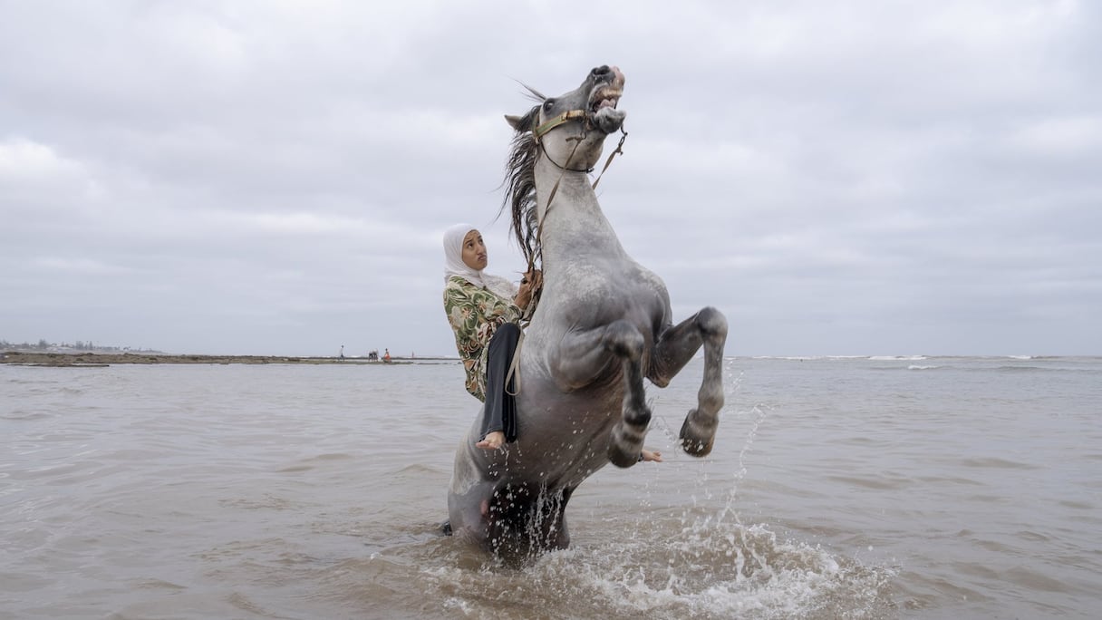 Ghita Jhiate gère son indiscipliné étalon à Sidi Rahal, Maroc. Longtemps interdite de participer à une Tbourida par son père, elle a enfin réalisé son monter aux côtés de la pionnière de la Tbourida féminine, Zahia Aboulait, en 2025.