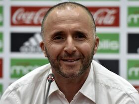 Djamel Belmadi, sélectionneur de l'Algérie.