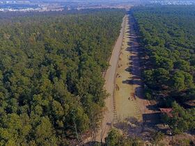 La forêt de Bouskoura.