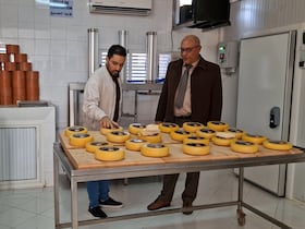 مدينة الداخلة تتعزز بمشروع لإنتاج الأجبان من حليب النوق