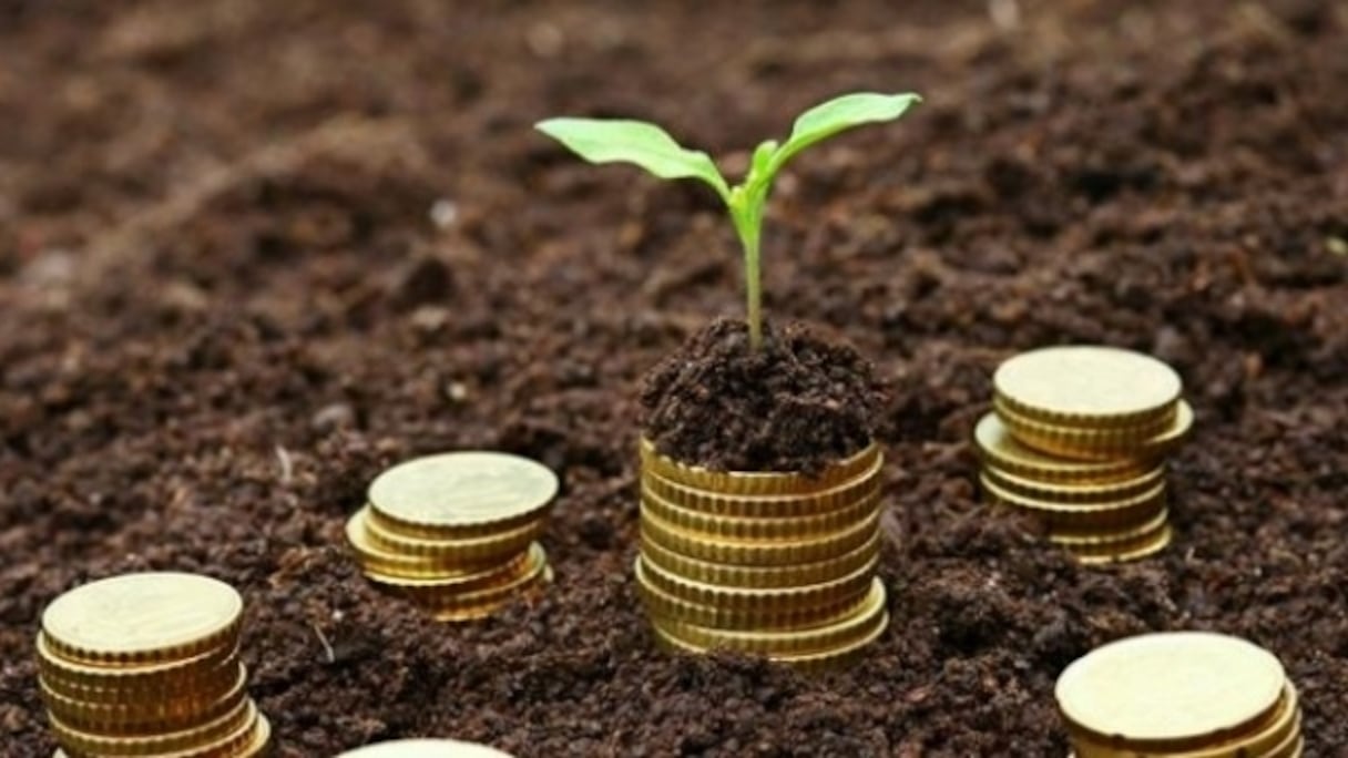 Photo d'illustration.