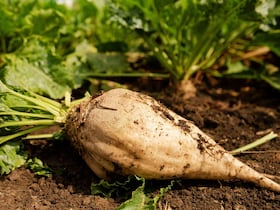 Photo d'illustration.