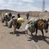Face au choc climatique, le Maroc à l’épreuve d’une vulnérabilité systémique