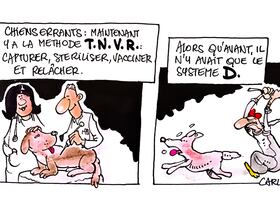 Dessin de Carlors.