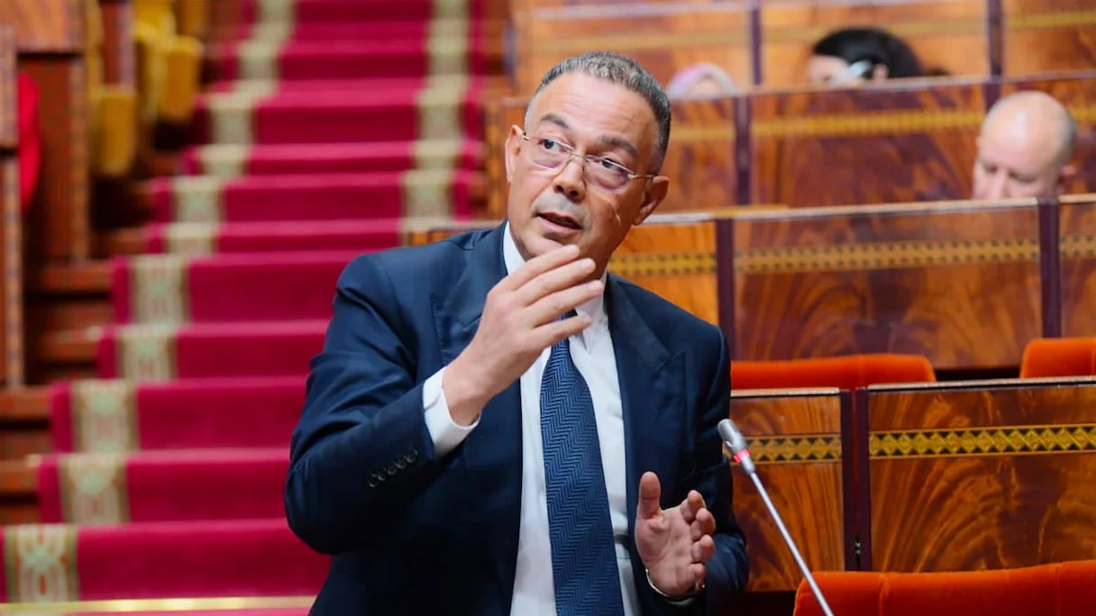 الوزير المنتدب المكلف بالميزانية، فوزي لقجع