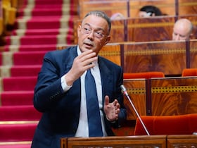 الوزير المنتدب المكلف بالميزانية، فوزي لقجع