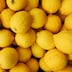 Rebond des exportations marocaines de citron durant la campagne 2025/2026