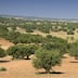 Le Maroc confronté à l’urgence de protéger sa biodiversité