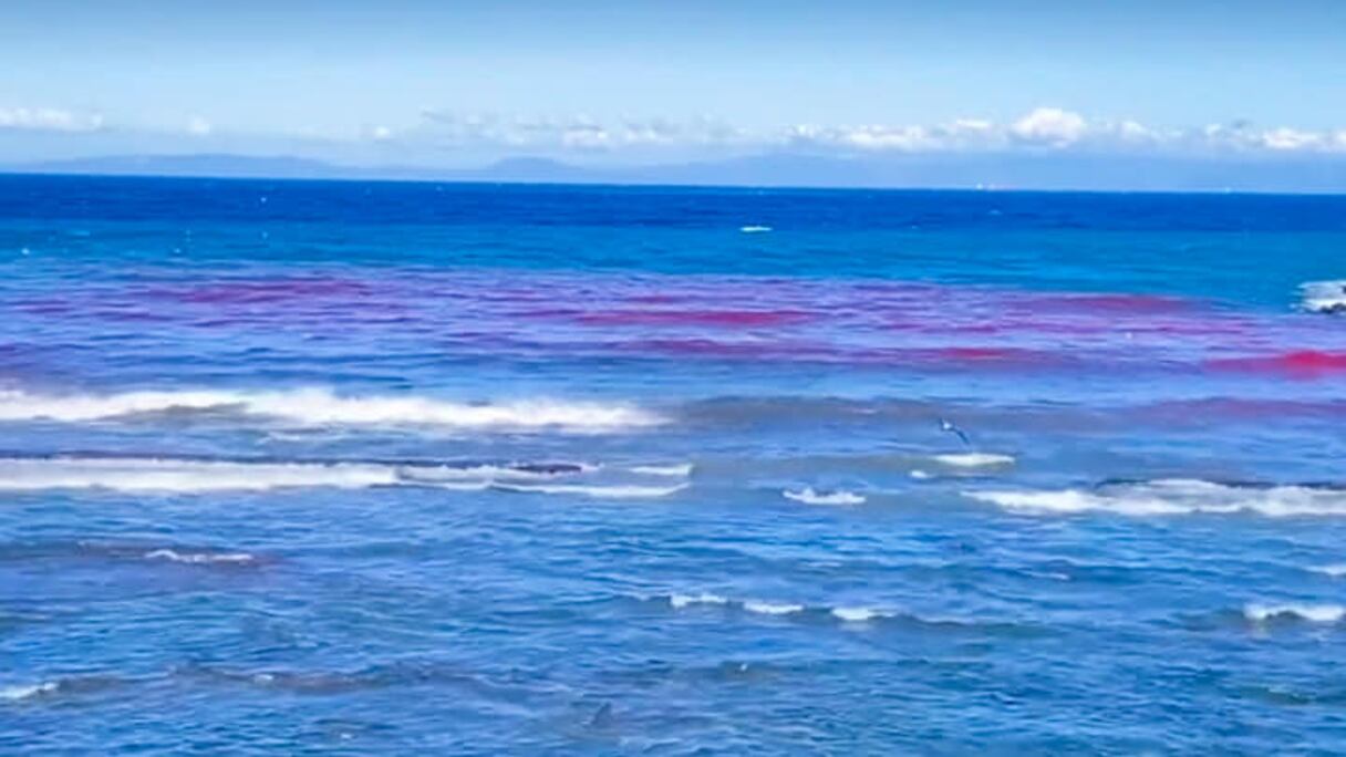 تغير لون مياه شاطئ مرقالة بطنجة