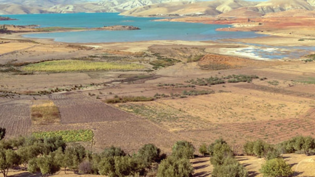 Située au nord du Maroc, entre le Rif et le Moyen Atlas, le Saïss est une vaste et fertile plaine qui s'étend sur 2.211 kilomètres carrés et comprend près de 40.000 hectares irrigués.