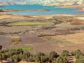 Située au nord du Maroc, entre le Rif et le Moyen Atlas, le Saïss est une vaste et fertile plaine qui s'étend sur 2.211 kilomètres carrés et comprend près de 40.000 hectares irrigués.