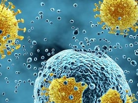 Virus de la grippe saisonnière