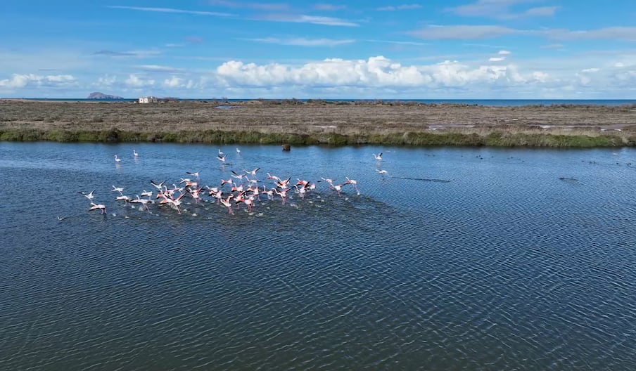 Fleuves du Maroc: la Moulouya, entre majesté naturelle et défis environnementaux
