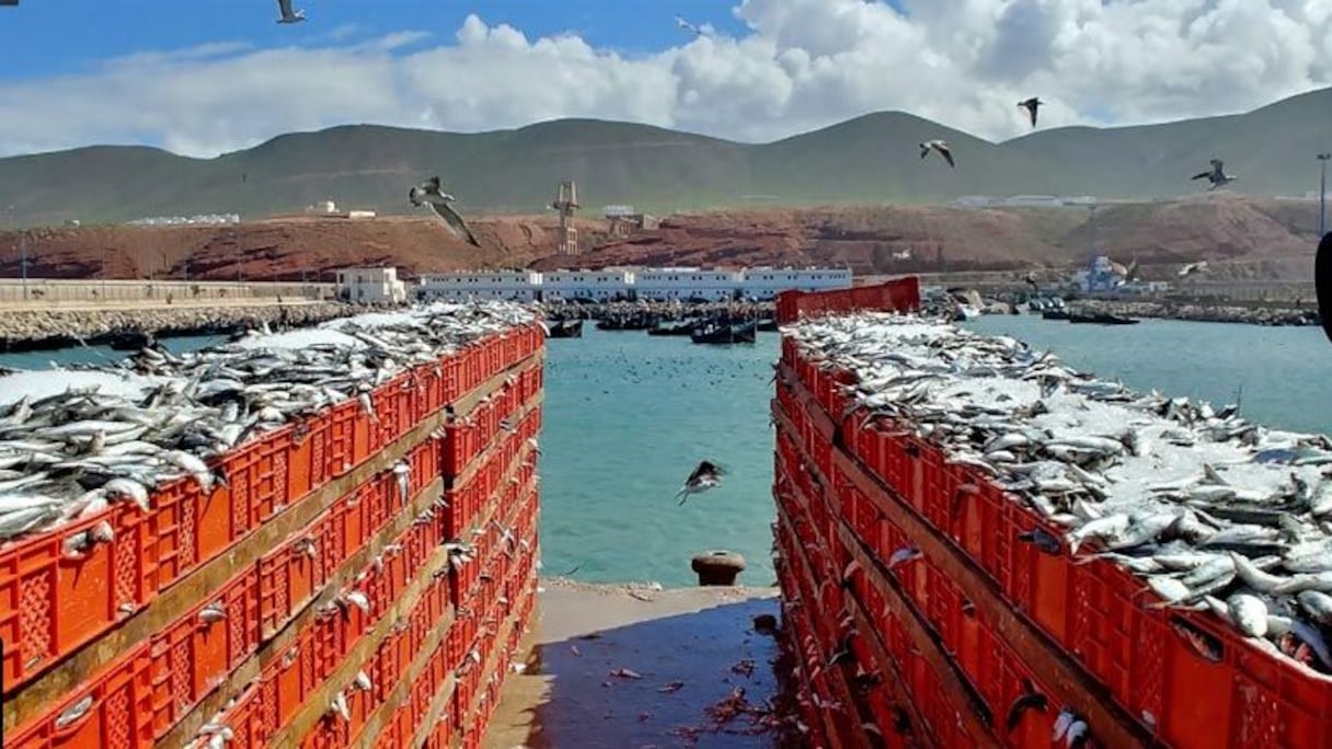 ميناء سيدي إفني