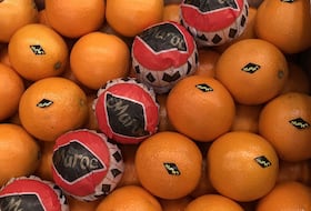 Malgré la pandémie, les exportations marocaines se portent bien.