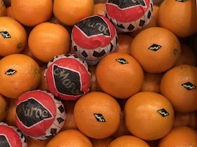 Malgré la pandémie, les exportations marocaines se portent bien.