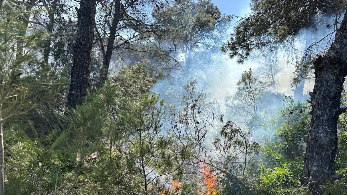 حريق مهول يحاصر غابة الهوارة بضواحي طنجة