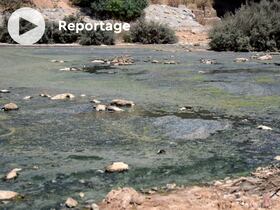 L'Oued Nfifikh fait partie des rivières marocaines les moins étudiées.