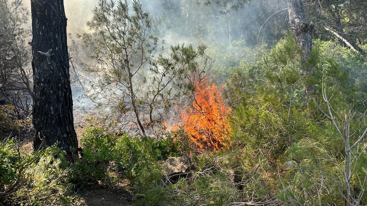 حريق مهول يحاصر غابة الهوارة بضواحي طنجة