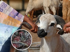 لحوم متعفنة وخسائر مادية.. هل يحصل المتضررون من الأضاحي الفاسدة على تعويضات؟