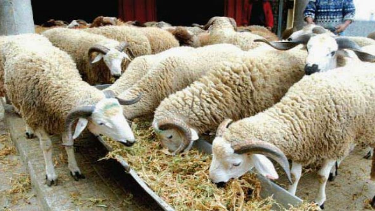 Photo d'illustration.