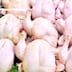 La flambée des prix du poulet s’installe
