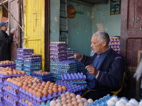 مهنيون يوضحون أسباب ارتفاع أسعار البيض