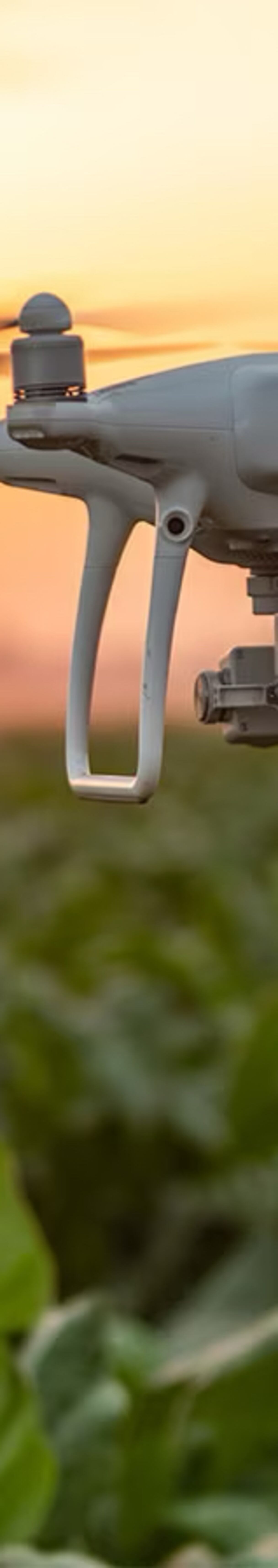 AgriTech au Maroc : l'agriculture intelligente nourrit l'avenir