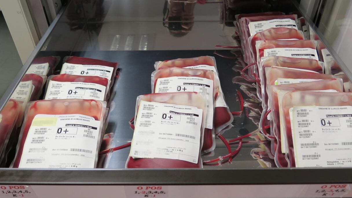 Poches de sang colléctés dans un centre de transfusion sanguine.