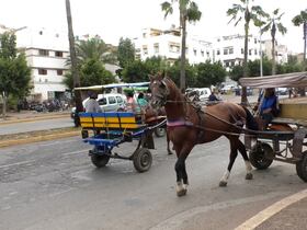 بعد صدور قرار منعهم.. مهنيو العربات المجرورة في الدار البيضاء يطالبون بالتعويض