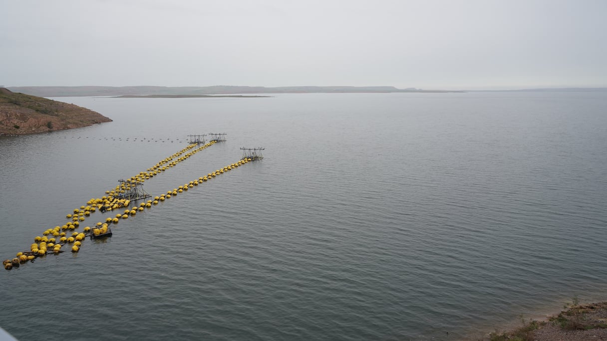 ارتفاع نسبة ملء سد المسيرة يوم الأربعاء 4 مارس2026 إلى 31.73 في المائة مقارنة بـ2.3 في المائة فقط خلال الفترة نفسها من السنة الماضية.