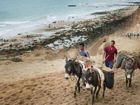 Les enfants acheminent le sable vers les chauffeurs de camions, qui le revendent aux promoteurs