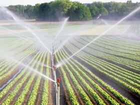 Système d'irrigation.