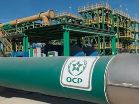 Le Groupe OCP, en partenariat avec l’australien Worley, est sur le point de lancer deux projets d’ammoniac vert au Maroc.
