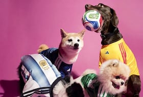 Adidas a dévoilé sa nouvelle collection de maillots de football pour animaux de compagnie, à l'occasion de la Coupe du monde de Football 2026.