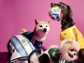 Adidas a dévoilé sa nouvelle collection de maillots de football pour animaux de compagnie, à l'occasion de la Coupe du monde de Football 2026.