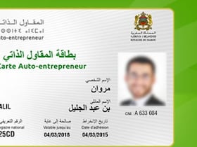 Le régime de l'auto-entrepreneur compte à ce jour près de 250.000 inscrits.