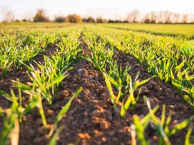 Photo d'illustration.