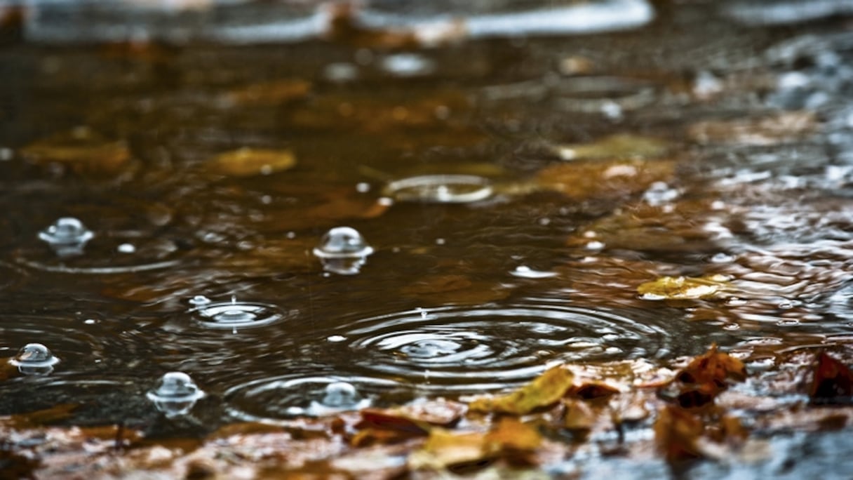 Photo d'illustration.