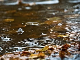 Photo d'illustration.